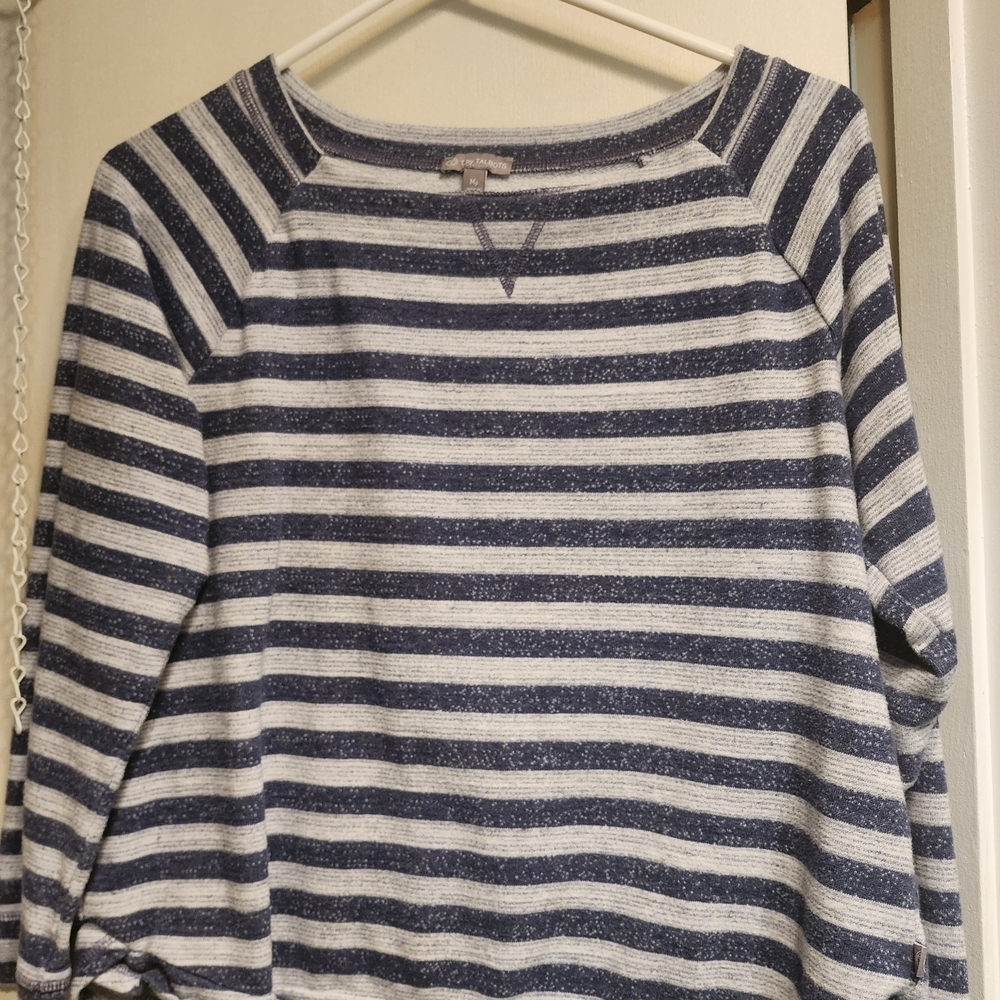 Talbots Blue and White Striped Top